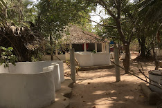 The Gambian Reptiles Farm