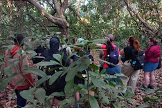 Pirang-Bonto Community Forest