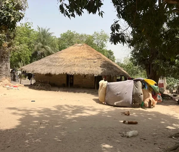 Omi Tours Gambia
