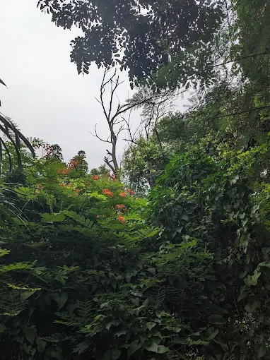 National Botanic Garden