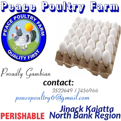 Peace Poultry Farm