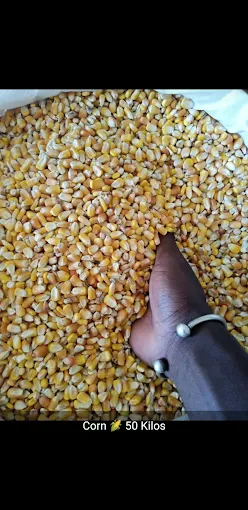 Diversified Trading Gambia