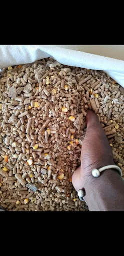 Diversified Trading Gambia