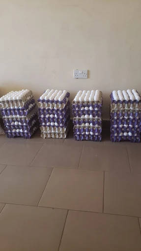 Diversified Trading Gambia