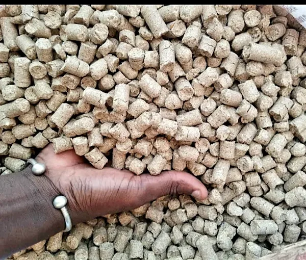 Diversified Trading Gambia