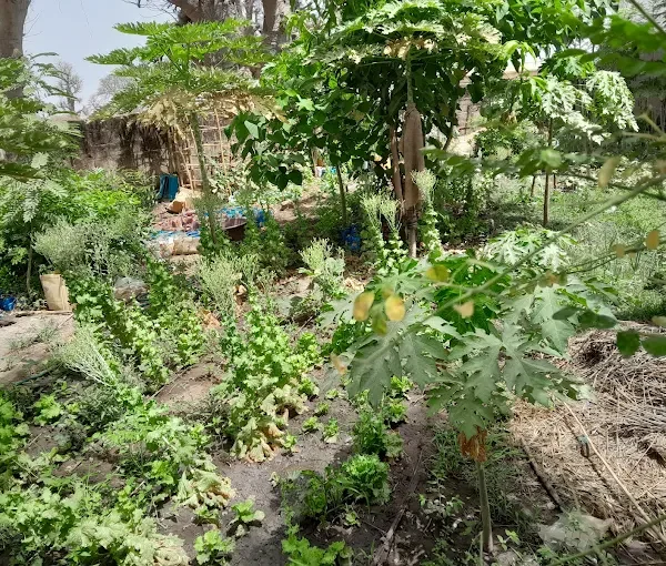 S&D Farm