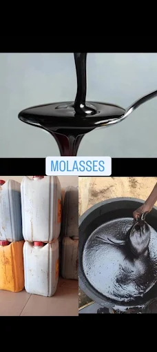 Diversified Trading Gambia