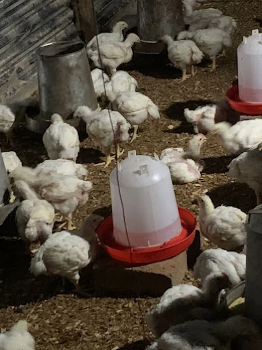 ClimateWise AgriFarm