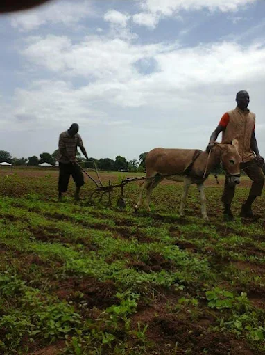 Atambajero Agric Farm