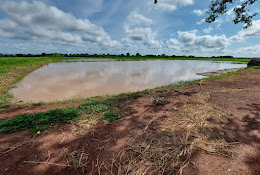 ROOTS Project Gambia
