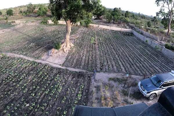 Dra-Farm Gambia