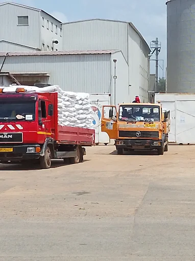 Nessim Trading Company Ltd Gambia