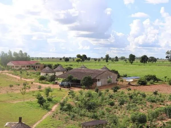 Mixed Farming Center (MFC) Fandeema