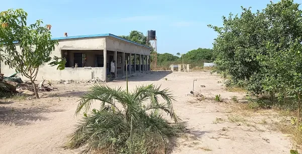 Ourfarm,Sifoe