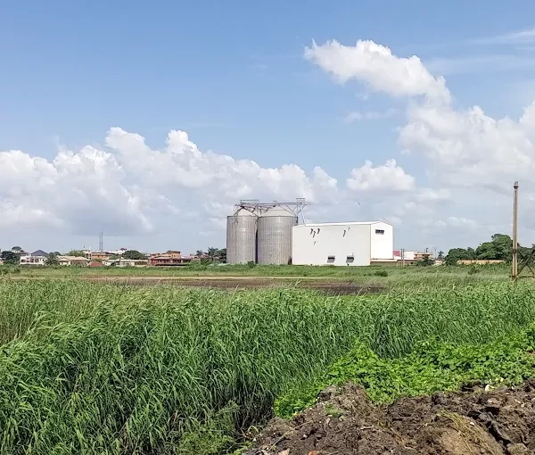 Gambia Milling Corporation