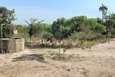 Ourfarm,Sifoe