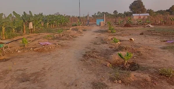 Garden Farm