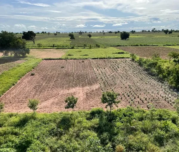 Mixed Farming Center (MFC) Fandeema