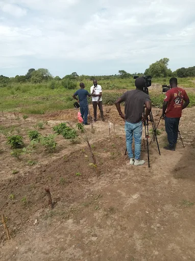 ROOTS Project Gambia