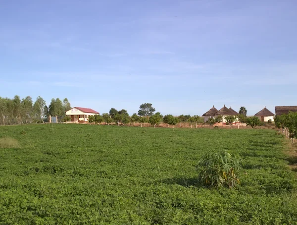 Mixed Farming Center (MFC) Fandeema