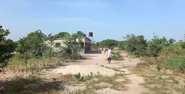 Ourfarm,Sifoe