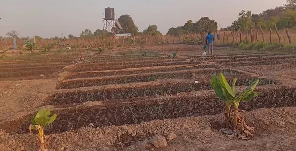 Garden Farm