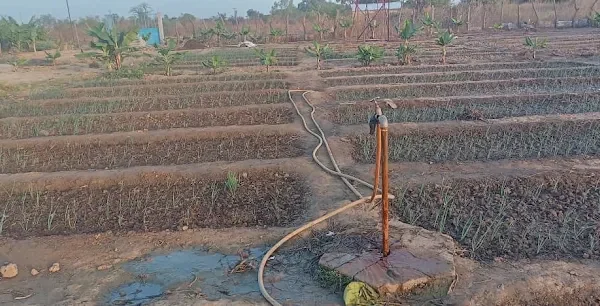 Garden Farm