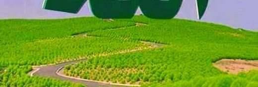 Gambia Agricultural Marketing Company Ltd.